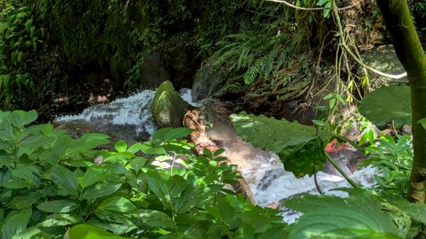 114.06.01溪山百年古圳-太平尾山+聖人崙之旅2801838