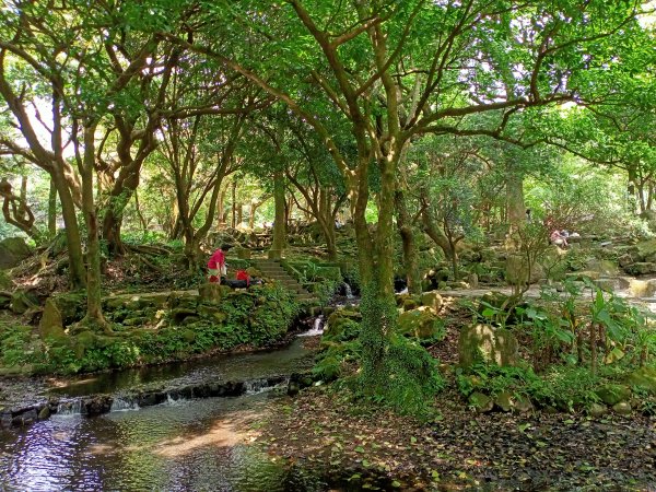 陽明醫院舊址、陽明山前山公園、紗帽山步道、紗帽路、臺北市教師研習中心【走遍陽明山】2121934