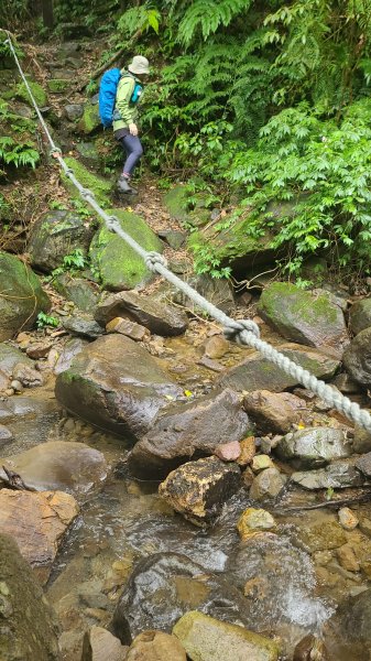 2025-01232淡蘭古道北二段(燦光寮古道到澳底)2696591