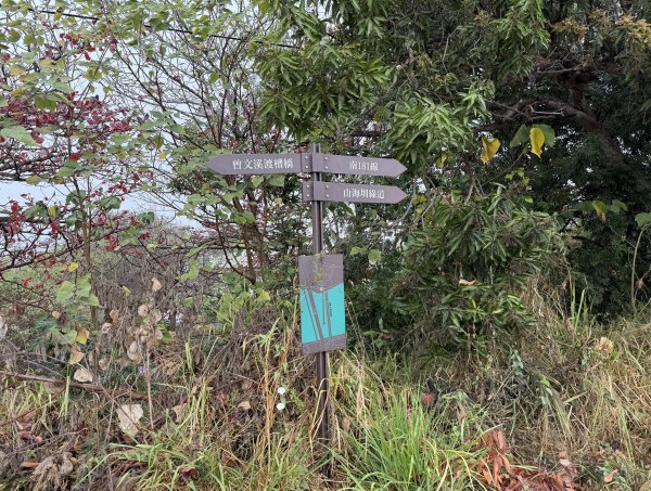 [山海圳_大圳之路_第一段] 2026_0228 茄拔天后宮_南湖口_曾文溪渡槽橋3009213