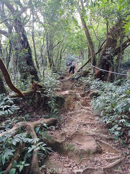 【屏東獅子鄉】海天一色。 台灣百大必訪步道~里龍山自然步道2550765