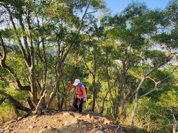 【田中秘境】田中大小劍+小奇萊O繞2719662
