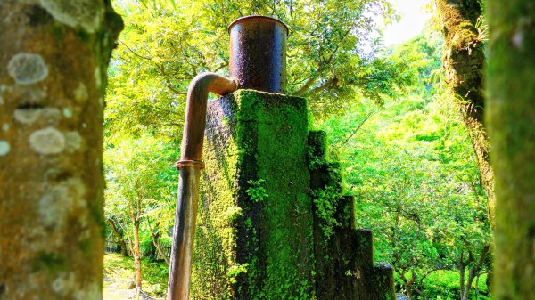 南九州－仙巖園,城山公園3063226