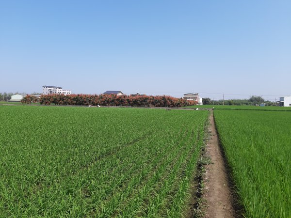 [嘉義大林][一]三疊溪、下林頭、大林陸橋、內林、崎頭