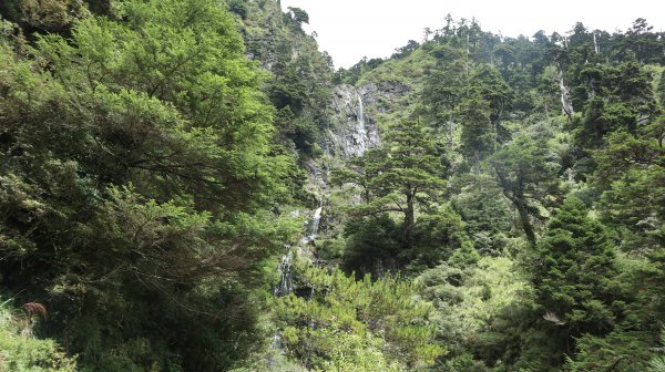 奇萊南華登山健行趣(百岳41號＆75號)1840309