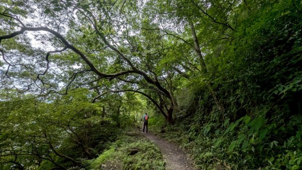 114.06.14雙石縱走&石門水庫-石牛山之旅2812231