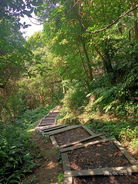 【臺北大縱走 7】樟山寺→國立政治大學 & 獲得第一回合「全程完成證書」2471686