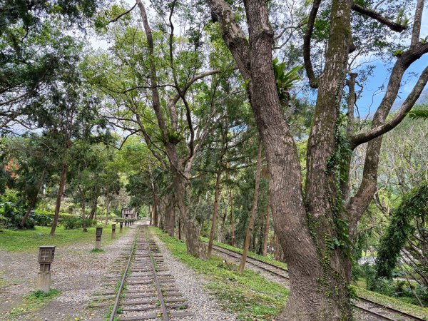 林田山林業文化園區2728248