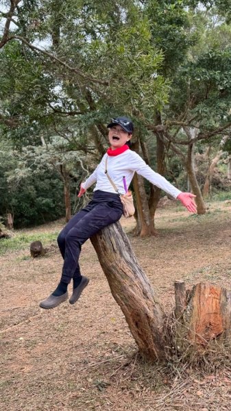 20260127三通嶺山.三義山(大桁茂山).慈濟山.大坪山大O走2990022