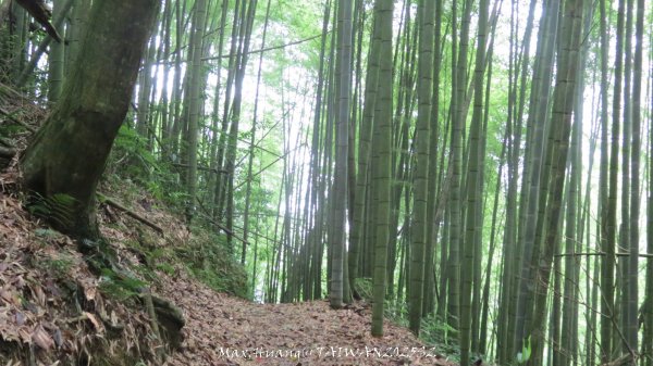 《雲林》望好望角｜石壁山嘉南雲峰步道(中側登山口）202506072805538