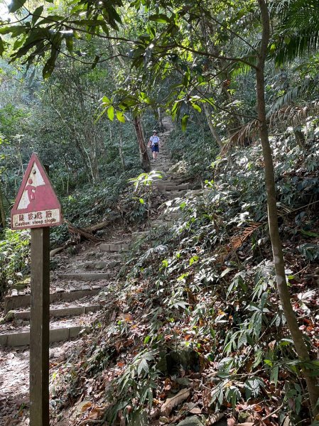 230219-告別寒假，挑戰魔王小百岳#073 尾寮山。美美兔咬牙慢走8小時。2040901