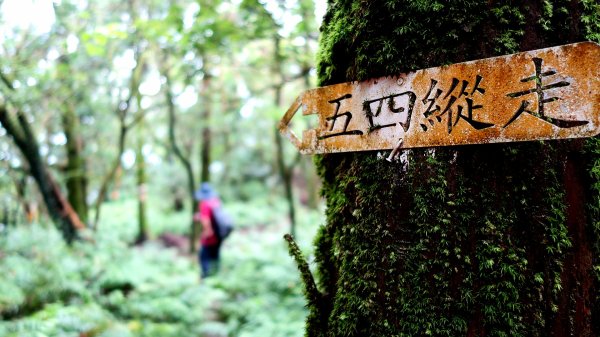 基隆聖稜線-陡不停的五四大縱走