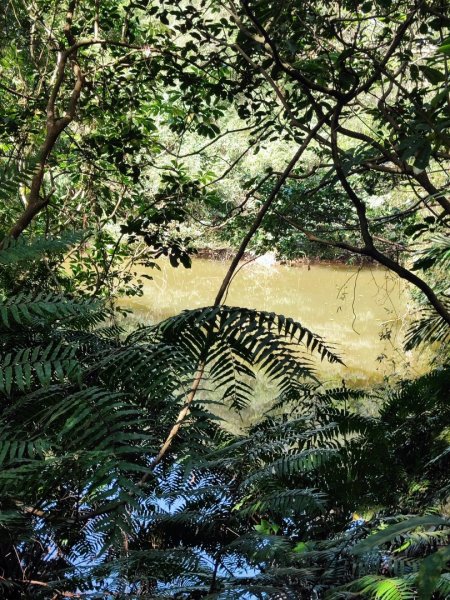 萬中瀑布-瑪鍊山-大路嶺古道-村長古厝-金剛岩-獅頭瀑布3005080