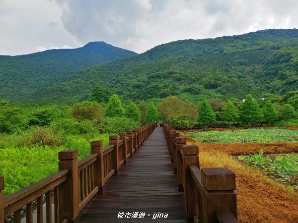 【花蓮。光復】自然野趣。 馬太鞍濕地生態園區x光復糖廠