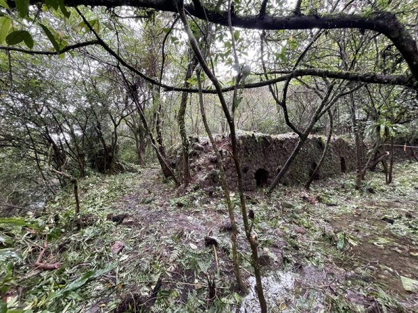 武山坑炭窯2990729