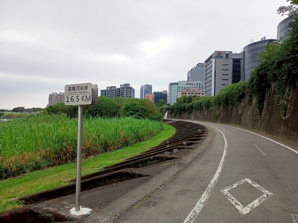 內湖瑞陽公園→文德三號公園→基隆河右岸→美堤河濱公園步道2089981