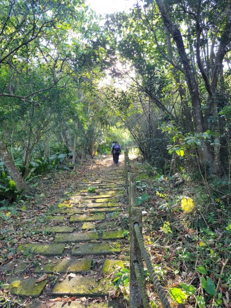 【屏東 | 小百岳 女仍山】來女仍找女人1306964