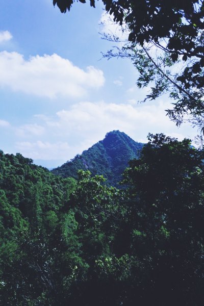 健行｜高雄旗尾山1094185