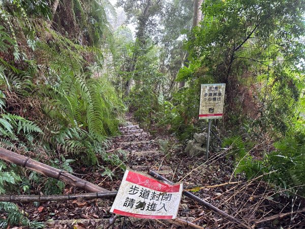 很硬的水社大山很幸運看到大景2388165