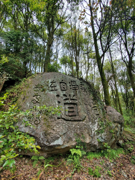菁礐古圳，松石草原，竹篙山南峰，石雕秘境