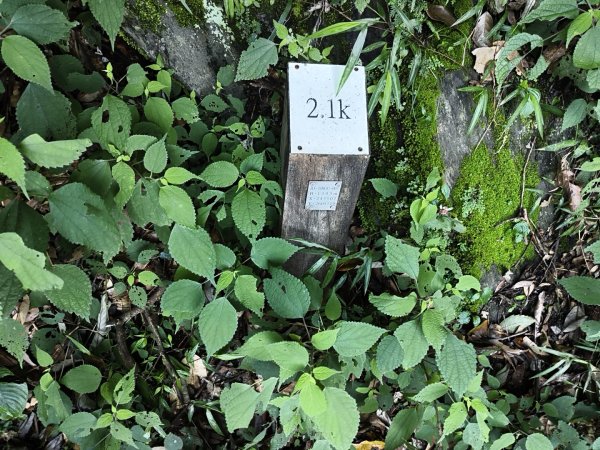 [玉山尋寶任務-07/12] 2025_0824 八通關雲龍瀑布步道2870519