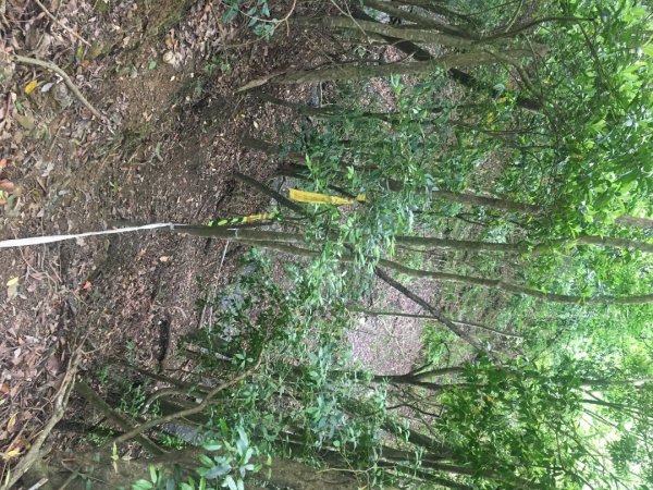 分遣所、斜壁2774335