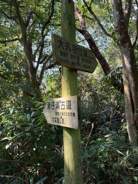 桃園 大溪 頭寮山3004509