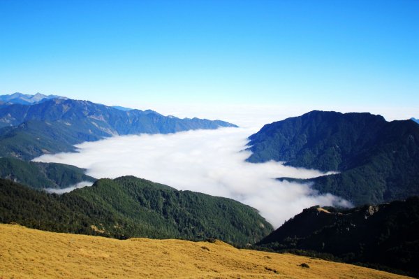 2021元旦-合歡山東峰、合歡尖山、石門山1433250