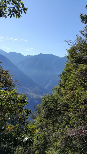 波津加山步道 2016 11 06126259