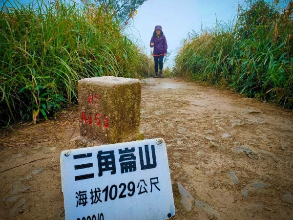 聖母山莊雖不見抹茶香，卻貼近三角崙山的濛瀧，一路灰頭土臉 滑