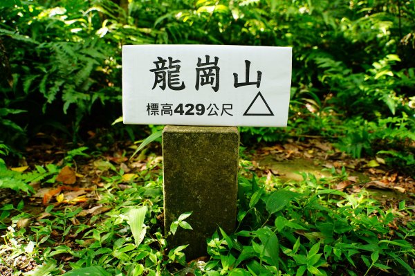 新北-宜蘭 大石壁坑山、五酒桶山、龍崗山、灣坑頭山3090348