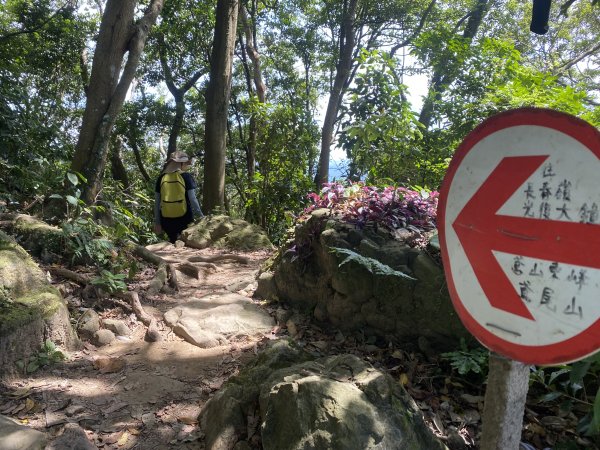 2025微笑山線大縱走尋寶集章任務-Ep.03【鳶山山系】鳶山彩壁段2893700