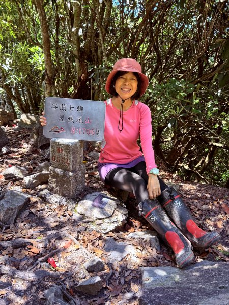 大雪山林道-屋我尾山O繞 202506152816276