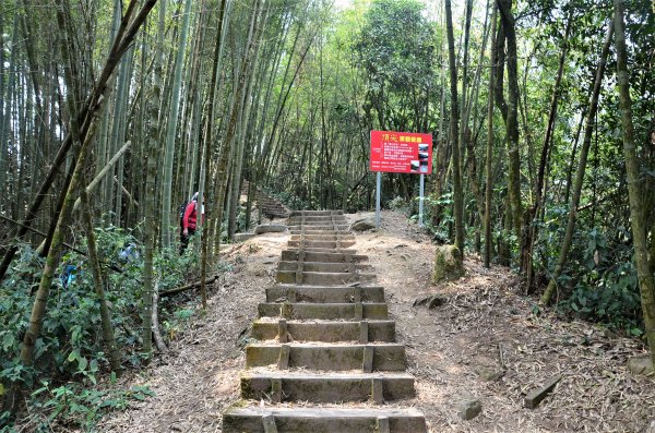 後棟仔山 & 雲嘉大尖山1378297