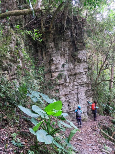 水雲三星 鳳山-鳥嘴山（上島山）1648042