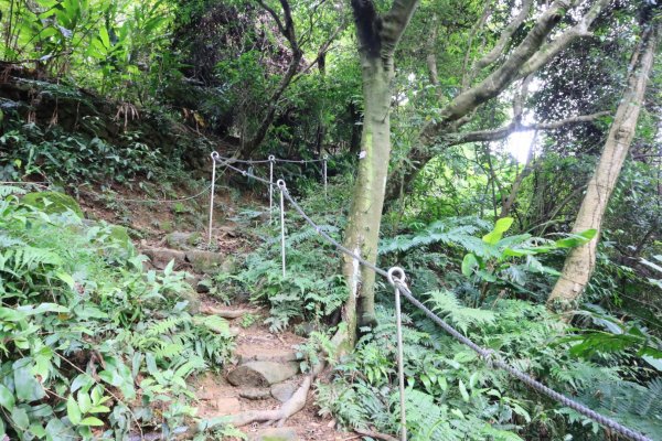 迎日石-外南勢角山-一線天-南勢角山-外挖子山2804493