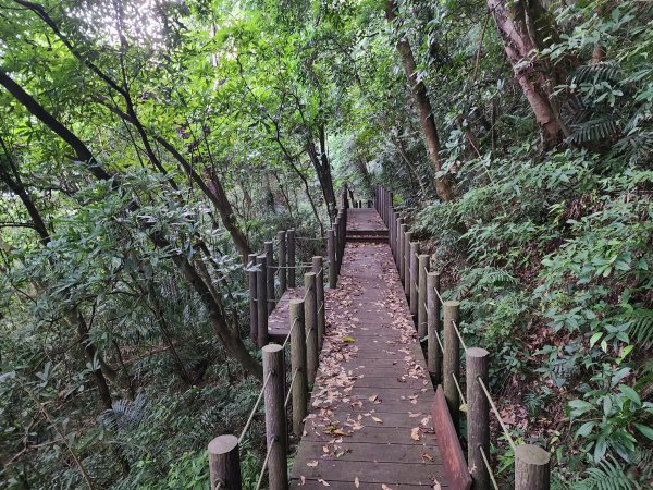 20240721泰安登山步道登七塊山2599945