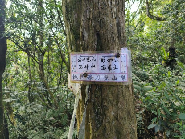 雙石大O繞縱走1150222 年初六3004527