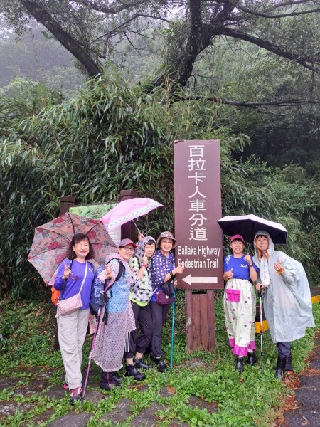 百拉卡公路人車分道、環七星山人車分道百拉卡公路入口站至冷水坑段、大港墘公園【走遍陽明山、健康大穀東】2307563