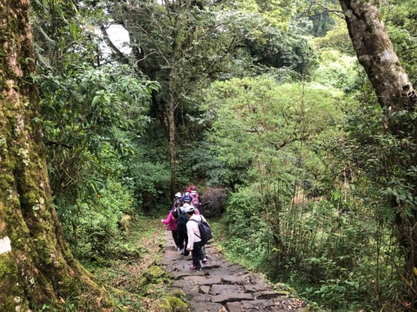 頂湖步道再訪芙蓉山、大凍山、霹靂山637308