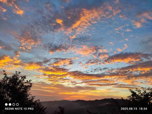 【油羅山/露營】 仙境舒活健走，雲端徜徉野趣！2887891
