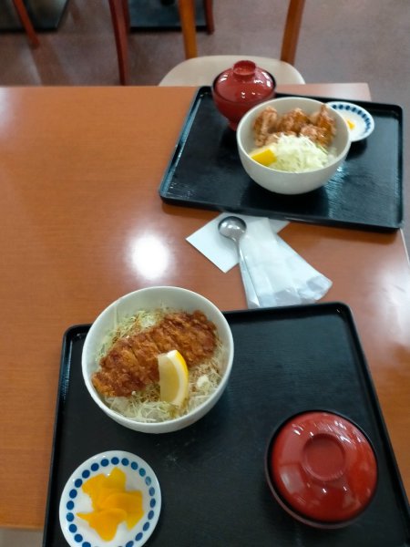 北海道昭和新山2761814