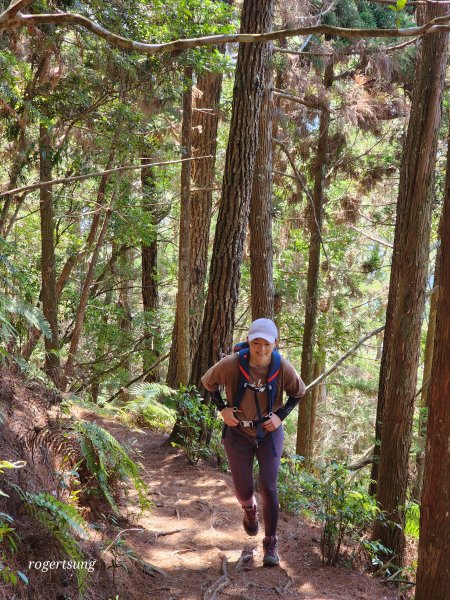 谷關踏青尋吃享溫泉(馬崙山 山江客家料理 露泉渡假溫泉館)2057367