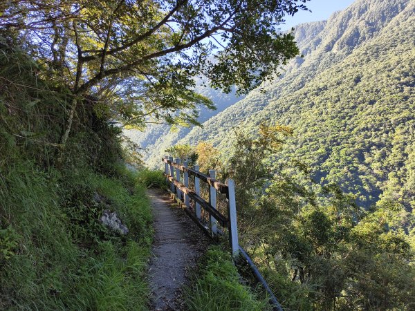 [玉山尋寶任務-07/12] 2025_0824 八通關雲龍瀑布步道2870604