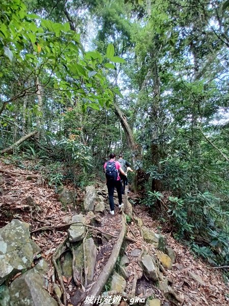 【台中和平】2022「谷關七雄，慢旅台中」登山活動認證。涼蔭避暑林道。屋我尾山步道1791601