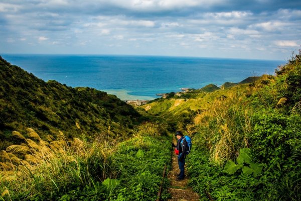 進入侏羅紀公園-劍龍稜819976