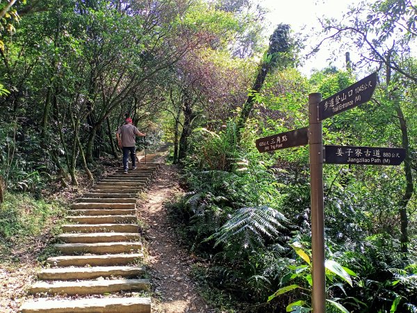 【基隆-臺灣百大步道】姜子寮山和泰安瀑布1268297