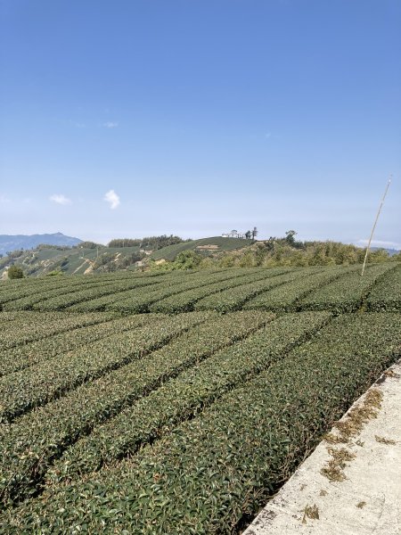 20260217月眉山+海鼠山+奮瑞古道3001654