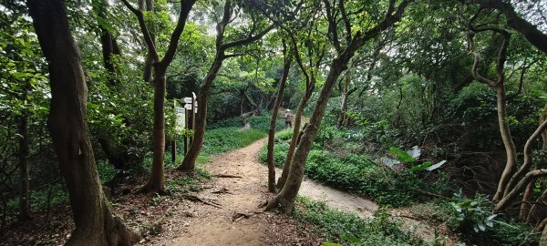 2025/08/03_羊稠森林步道2850660