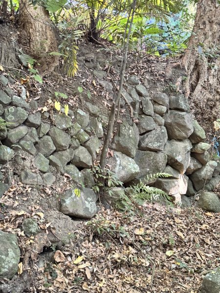 天母古道 + 紗帽山2913882